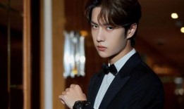 老王爆料王源视频大全集,老王独家爆料，带你领略偶像魅力